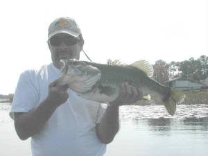 13lb 3oz Large Mouth caught and released 2/17/06